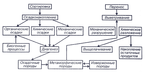 Схема формирования осадочных горных пород Схема формирования осадочных горных пород